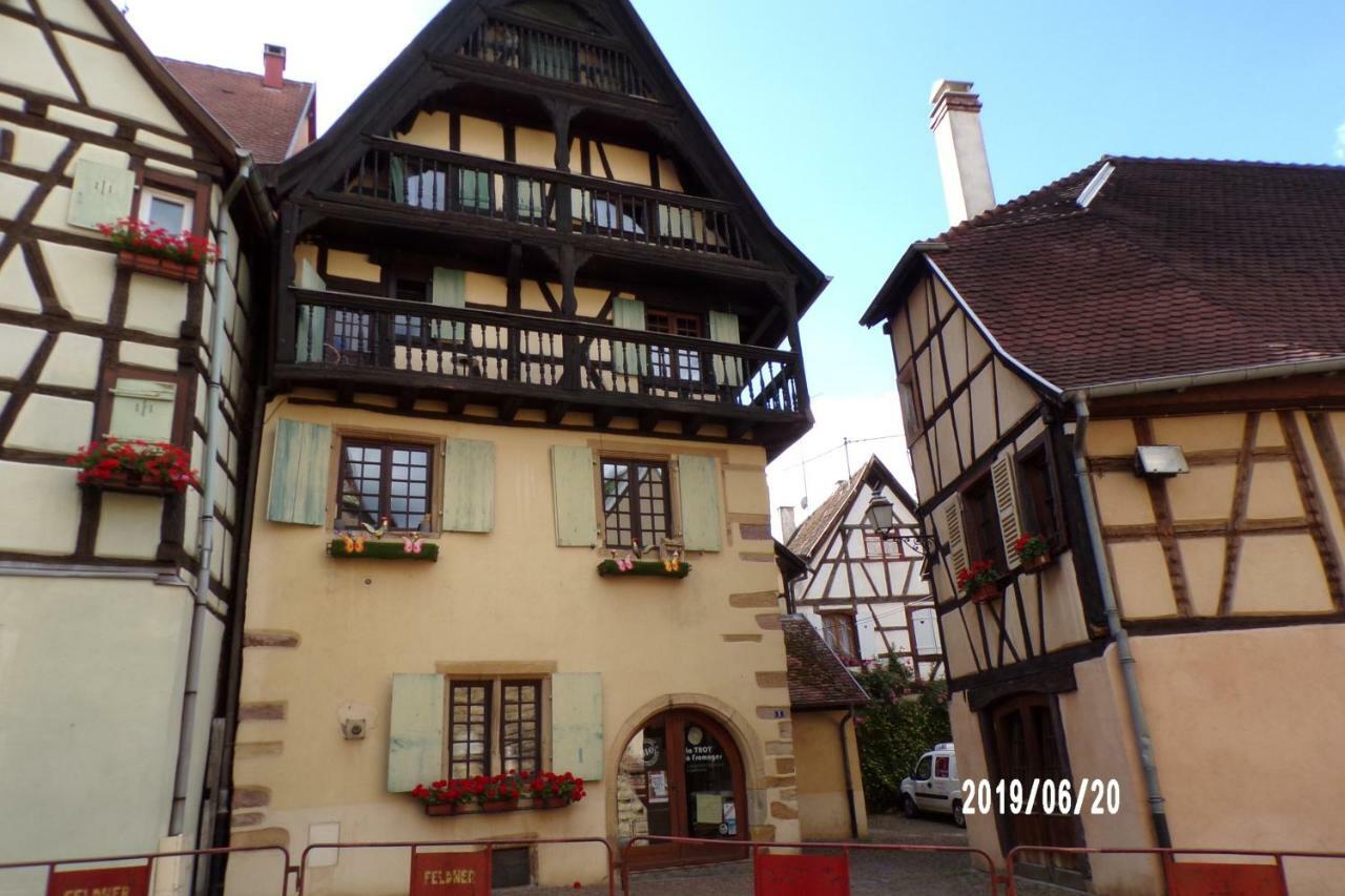 Duplex Saint Lustre, View Over Castle And Storks, 5 Mn From Colmar Eguisheim Kültér fotó