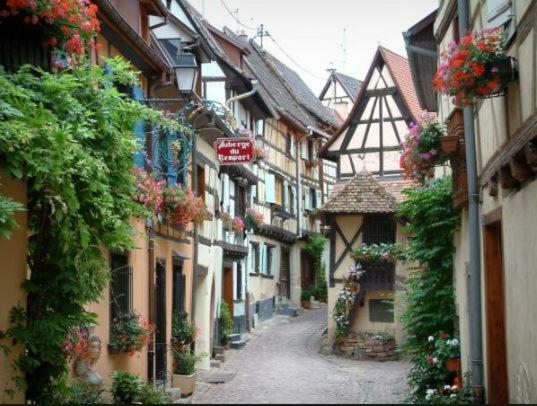 Duplex Saint Lustre, View Over Castle And Storks, 5 Mn From Colmar Eguisheim Kültér fotó